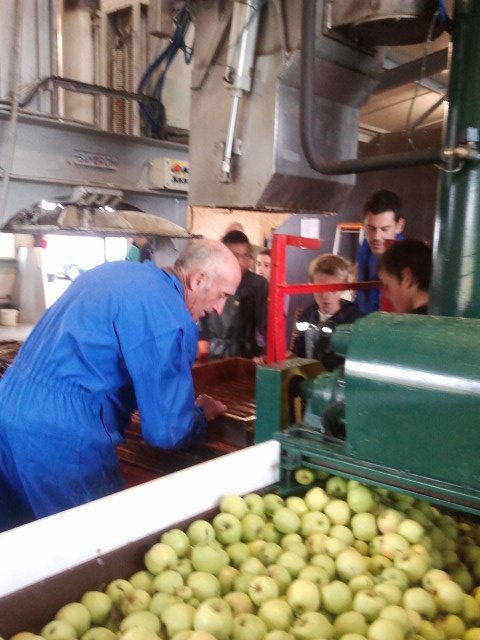 Les CM2 à la fabrication du jus de pommes.